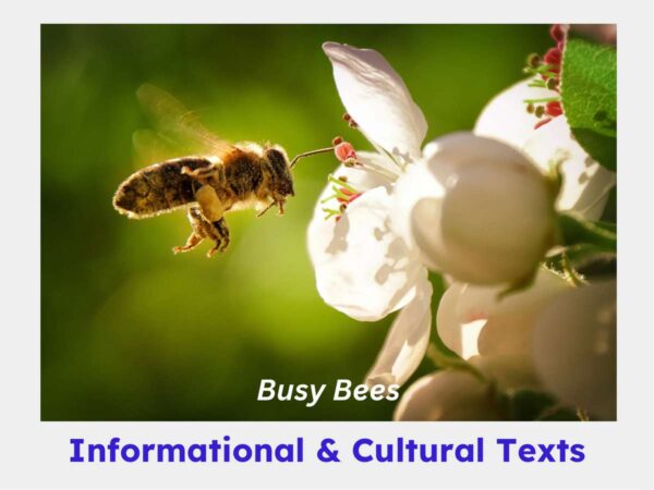 Close-up of a bee pollinating a white flower, representing 'Busy Bees' informational and cultural texts.