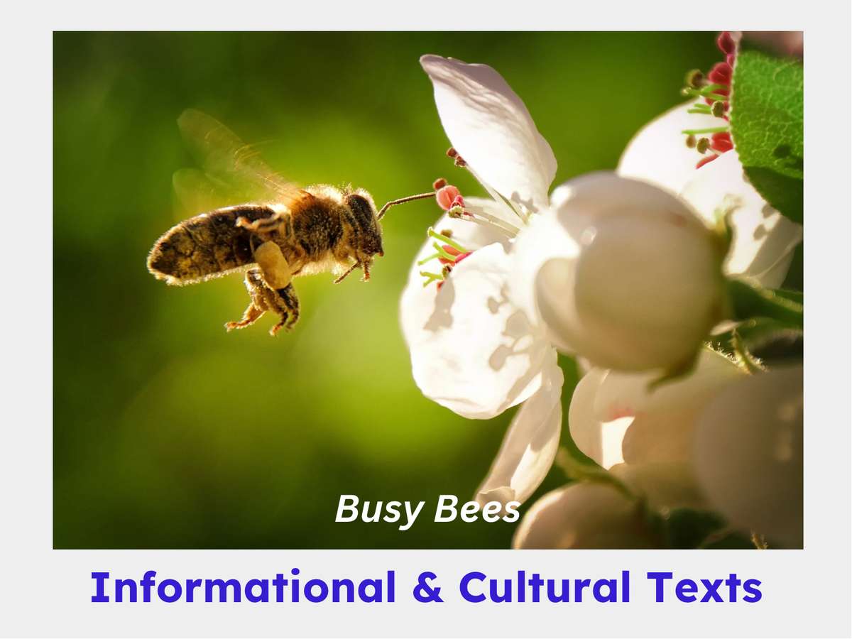 Close-up of a bee pollinating a white flower, representing 'Busy Bees' informational and cultural texts.