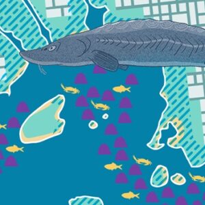 Illustration of a large sturgeon and small yellow fish and crabs over a colorful map.