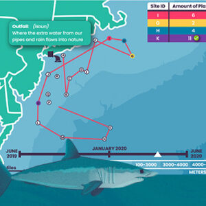 WaterWays Sharks and Plastic