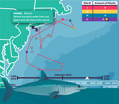 WaterWays Sharks and Plastic