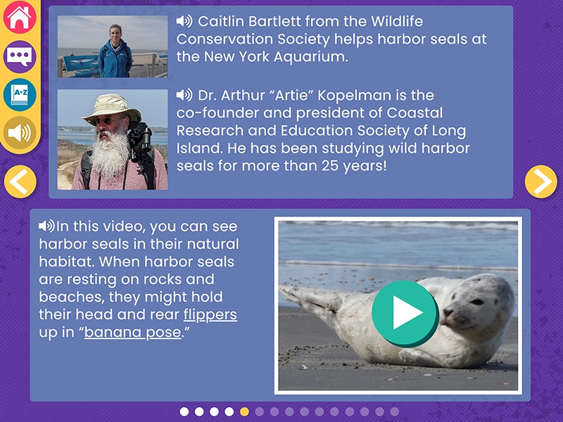 Caitlin Bartlett of Wildlife Conservation Society and Dr. Arthur Kopelman discussing harbor seals, with a video of seals in 'banana pose.’