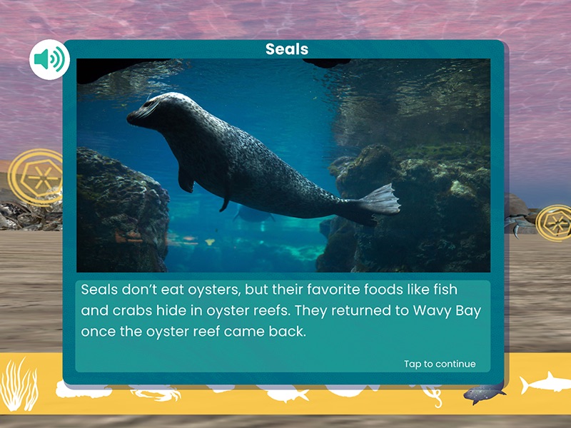 Screenshot from WaterWays: Exploring Ecosystems with a seal swimming in the ocean. The description explains that seals don’t eat oysters, but their favorite foods like fish and crabs hide in oyster reefs.