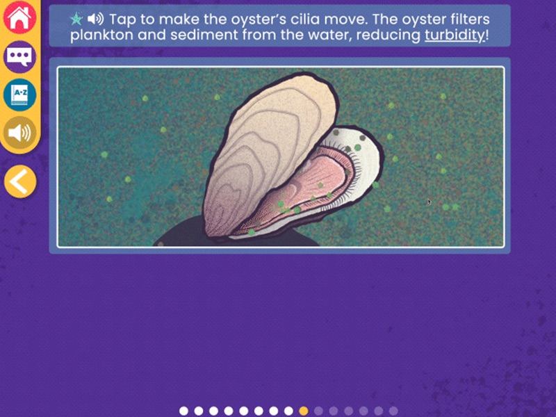 Screenshot from WaterWays: Exploring Ecosystems with an illustration of an oyster. The description instructs users to tap to make the oyster’s cilia move.