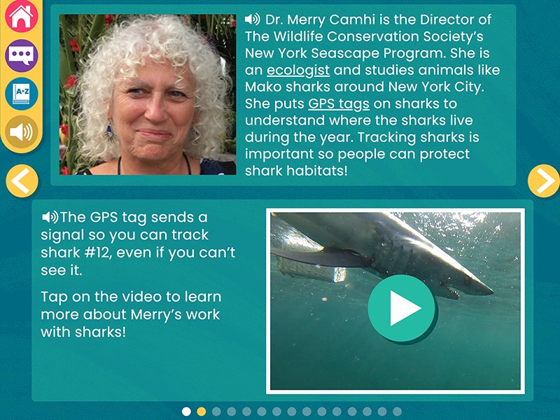 Screenshot from WaterWays: Sharks and Plastic with an image of Dr. Merry Camhi, the Director of the Wildlife Conservation Society. The bottom of the screenshot shows a photograph of a shark and instructs users to tap on the video to learn more about Dr. Merry Camhi’s work with sharks.