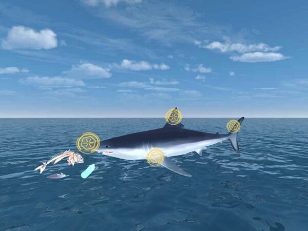 Screenshot from WaterWays Sharks and Plastic with an illustration of a shark above the water. Surrounding the shark is a fish skeleton, a plastic bottle, and a feather.