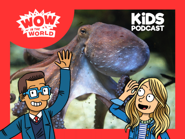 Podcast cover for 'WOW in the World KIDS PODCAST' featuring an octopus and cartoon characters Mindy Thomas and Guy Raz.