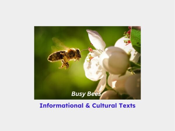 Close-up of a bee pollinating a white flower, representing 'Busy Bees' informational and cultural texts.