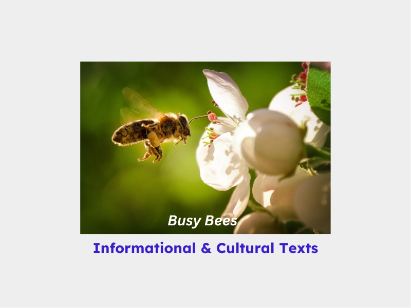 Close-up of a bee pollinating a white flower, representing 'Busy Bees' informational and cultural texts.