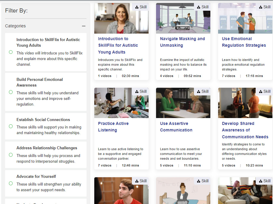 SkillFlix - Image 7