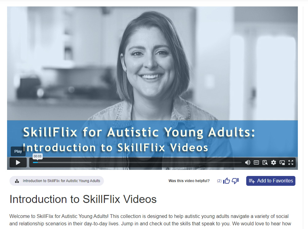 SkillFlix - Image 6